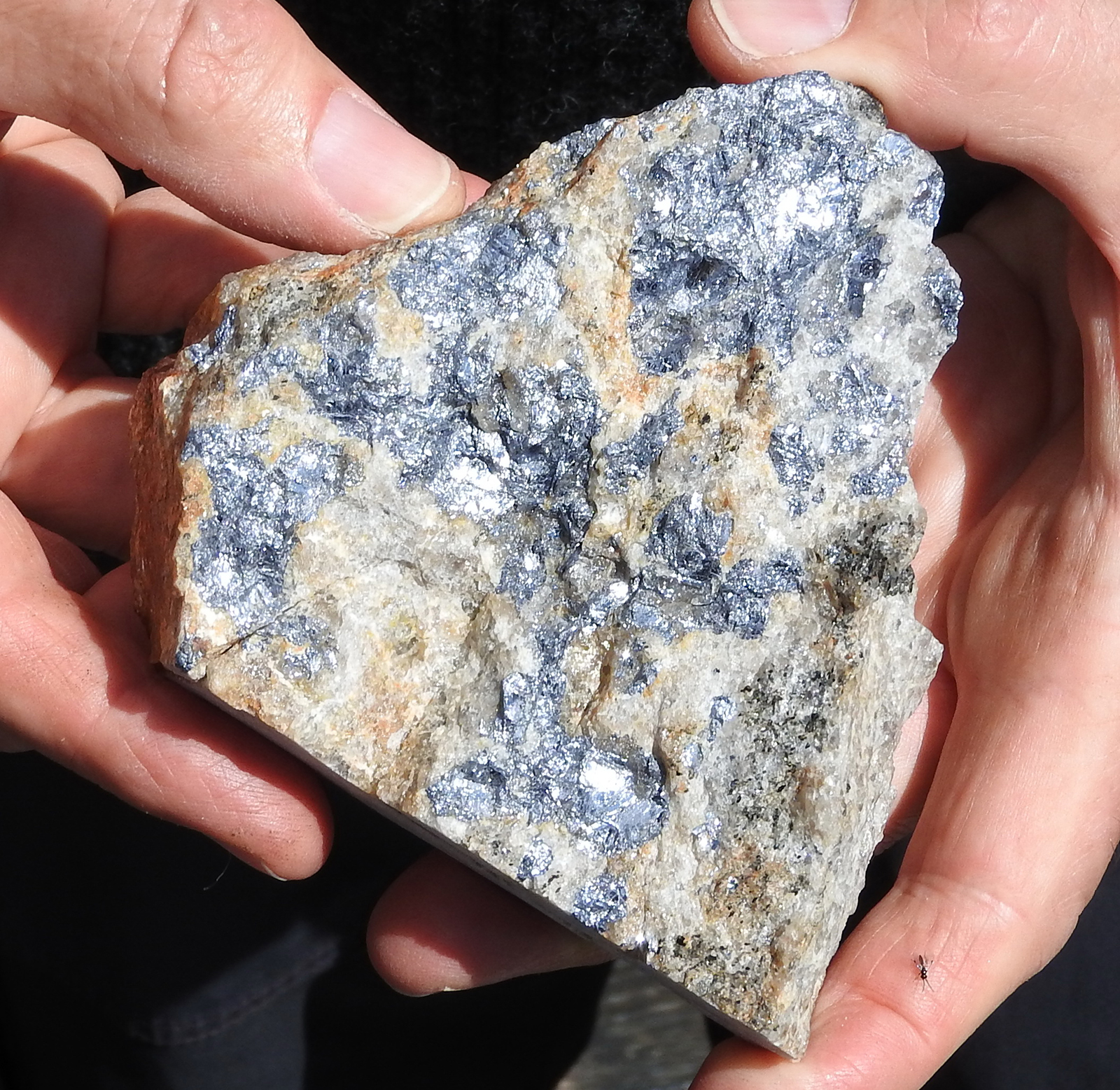 Foto: Halfdan Carstens