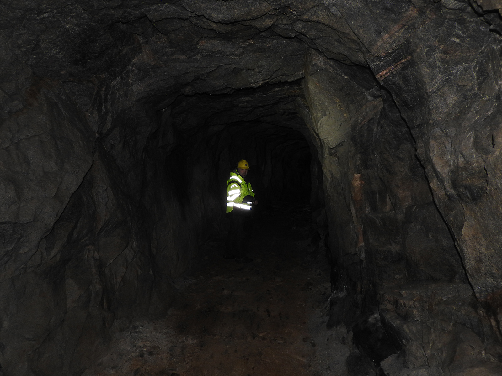 Foto: Halfdan Carstens