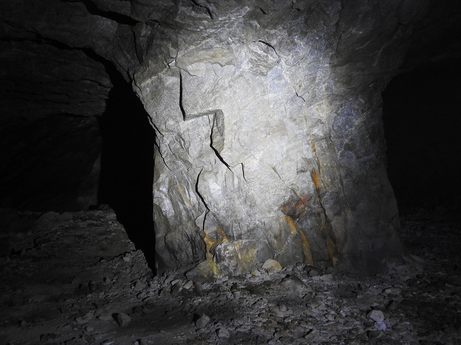 Foto: Halfdan Carstens