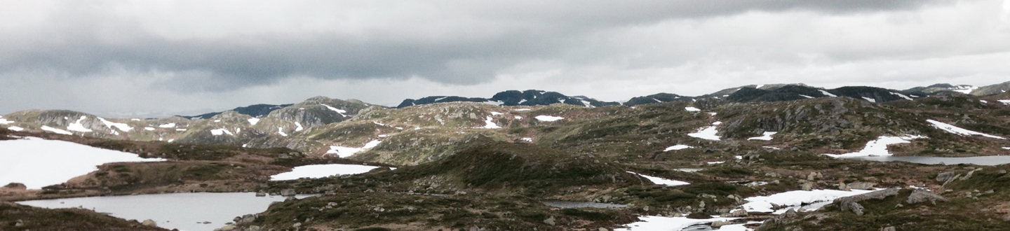 1440x330_Setesdal Vesthei landskap