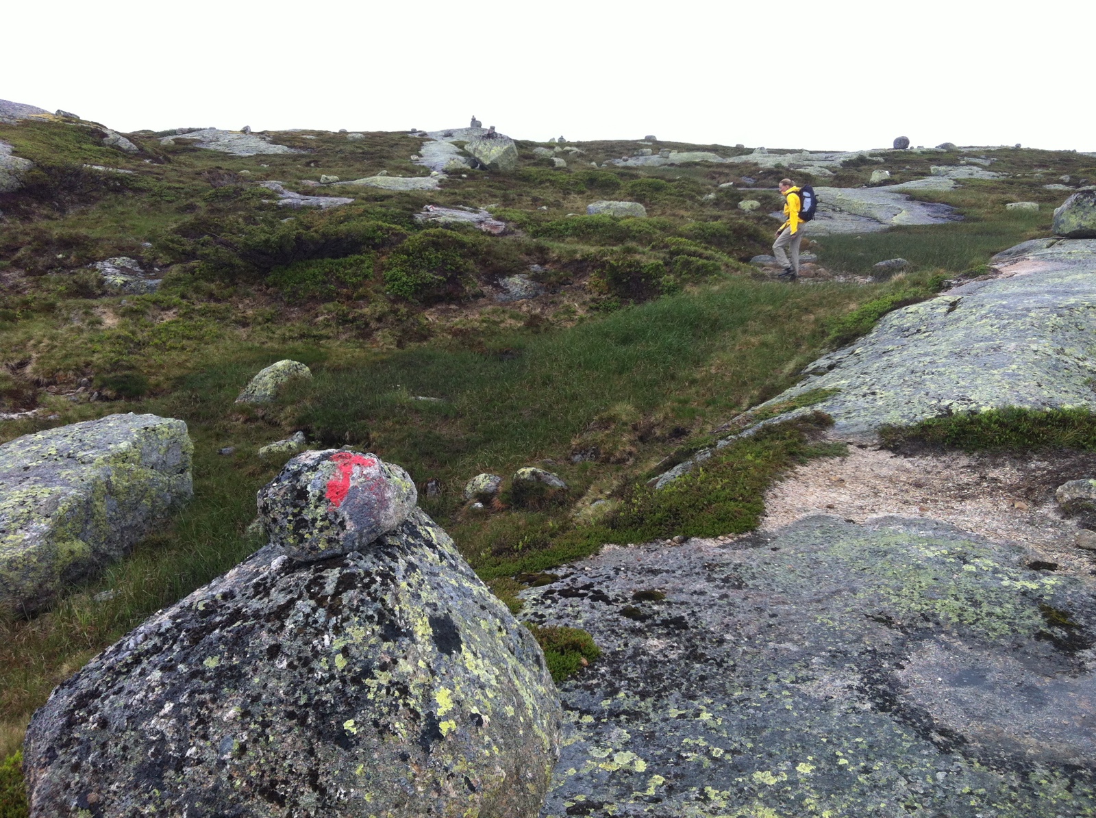 Foto: Halfdan Carstens